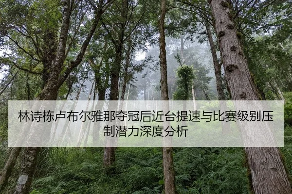 lin-shi-dong-lu-bu-er-ya-na-duo-guan-hou-jin-tai-ti-su-yu-bi-sai-ji-bie-ya-zhi-qian-li-shen-du-fen-xi-2-563.jpg