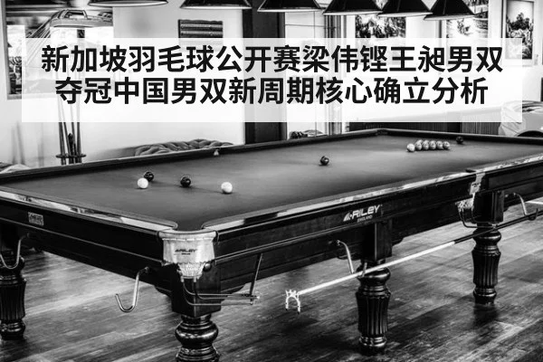 新加坡羽毛球公开赛梁伟铿王昶男双夺冠中国男双新周期核心确立分析